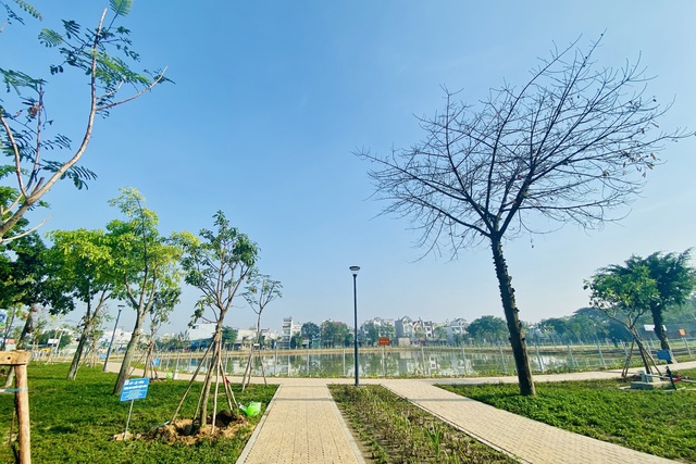Bãi trung chuyển rác 'ám ảnh' hơn 20 năm ở Q.Bình Tân thành công viên cây xanh - Ảnh 1.