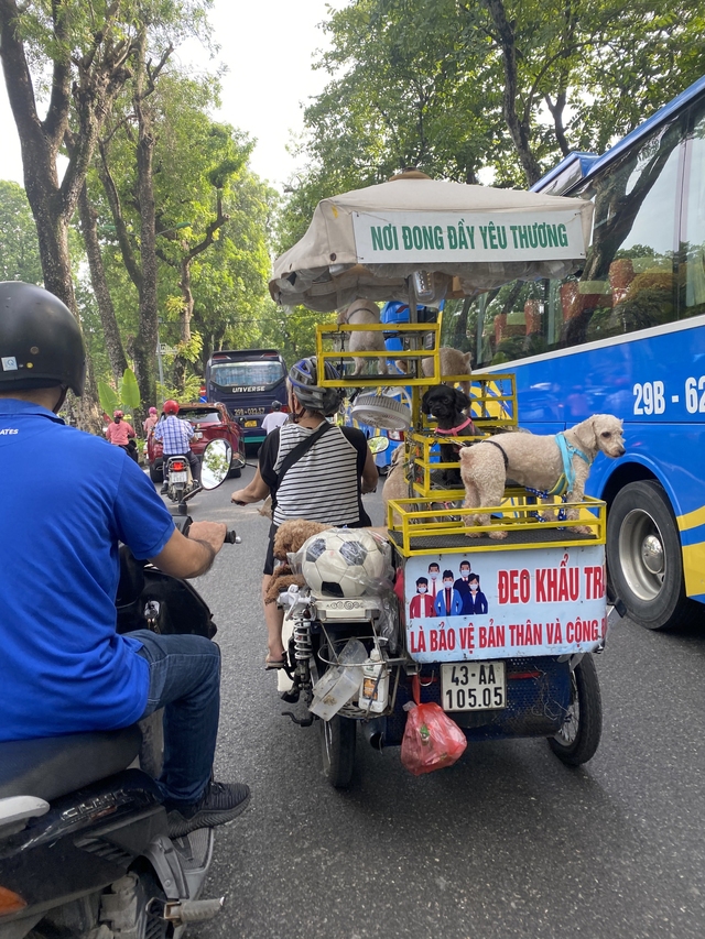 Biết buông bỏ nhờ... nuôi chó - Ảnh 5.