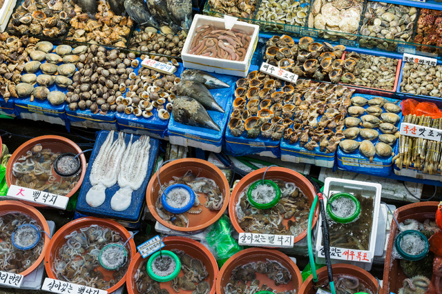 Khám phá khu chợ Noryangjin - Thiên đường hải sản tươi sống tại Seoul  - Ảnh 1.