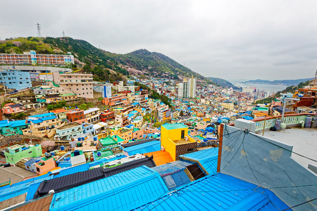 Làng văn hóa đầy màu sắc Gamcheon, Hàn Quốc - Ảnh 1. Làng văn hóa đầy màu sắc Gamcheon, Hàn Quốc - Ảnh 1.