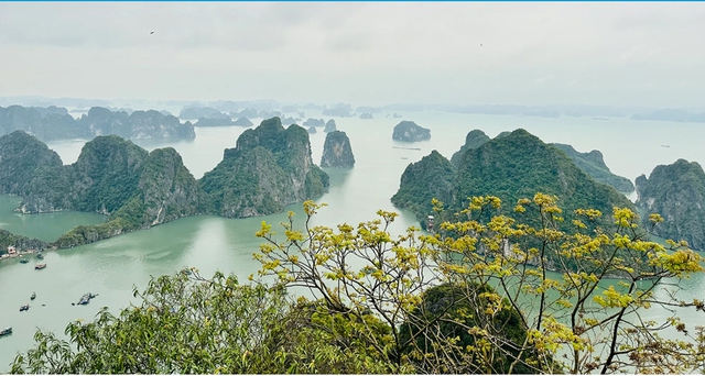 Hạ Long nơm nớp nỗi lo UNESCO 'thổi còi' - Ảnh 1.