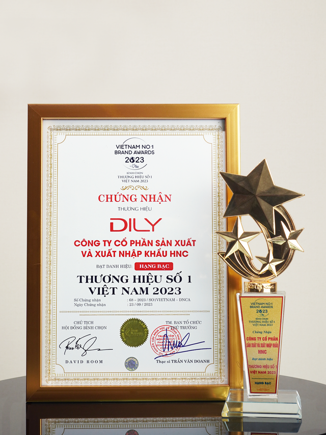 DILY vinh dự nhận giải thưởng 'Thương hiệu số 1 Việt Nam 2023' - Ảnh 2.