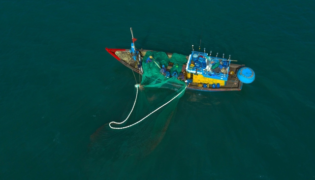 Sở NN-PTNT Quảng Ngãi đề xuất cấm đánh bắt có thời hạn 5 khu vực biển - Ảnh 1.