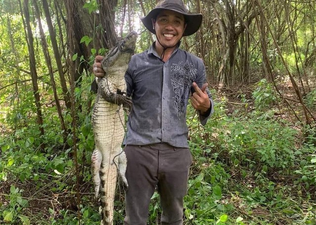 Kiên Giang: Bắt thêm 1 con cá sấu sổng chuồng trốn trong hồ nước công viên  - Ảnh 1.