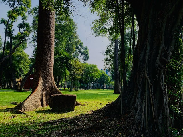 Vòng tay Tao Đàn - Ảnh 1. Vòng tay Tao Đàn - Ảnh 1.