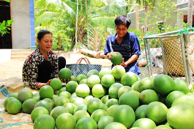“Nông dân tỷ phú” hỗ trợ nông dân nghèo hơn 3 tỷ đồng - Ảnh 1. “Nông dân tỷ phú” hỗ trợ nông dân nghèo hơn 3 tỷ đồng - Ảnh 1.
