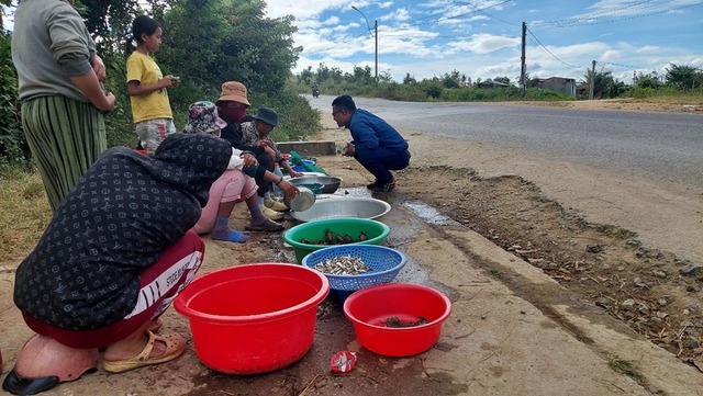 Từ đơn thư bạn đọc: Nhiều ngôi chợ tiền tỉ ở Kon Tum bị ế - Ảnh 3.