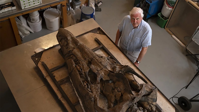 Phát hiện hộp sọ khổng lồ của quái vật biển thời tiền sử ở Anh - Ảnh 1.