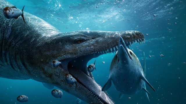 Khai quật hóa thạch ‘quái vật biển’ có niên đại 150 triệu năm - Ảnh 2.