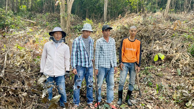 Bắt giữ 4 người chặt phá rừng ở Vườn quốc gia Phú Quốc  - Ảnh 1.