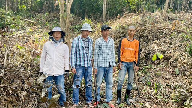 Bắt giữ 4 người chặt phá rừng ở Vườn quốc gia Phú Quốc - Ảnh 1. Bắt giữ 4 người chặt phá rừng ở Vườn quốc gia Phú Quốc - Ảnh 1.