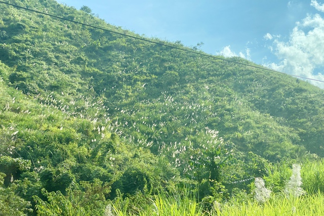 'Trời Điện Biên mây trắng' - Ảnh 3.