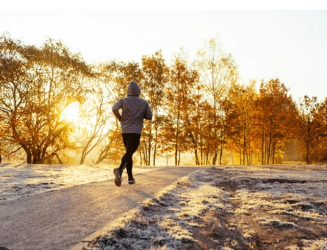 Số bước tối thiểu bạn nên đi bộ để giữ sức khỏe vào mùa đông - Ảnh 1.