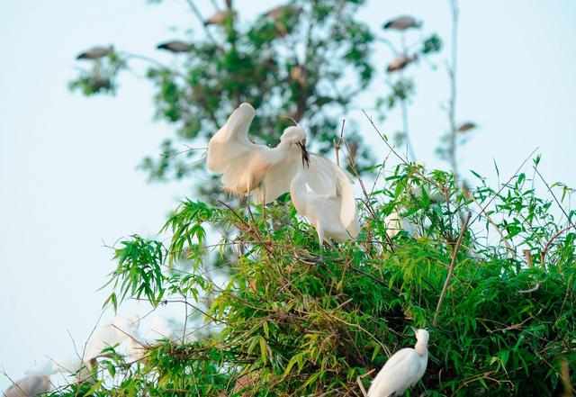 Du lịch Hải Dương: Khám phá bức tranh văn hóa và thiên nhiên độc đáo - Ảnh 1.