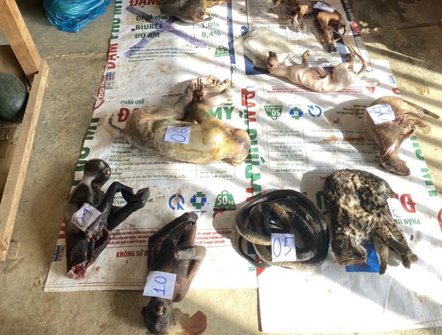 Lâm Đồng: Kiểm tra quán tạp hóa phát hiện nhiều cá thể động vật hoang dã - Ảnh 3.