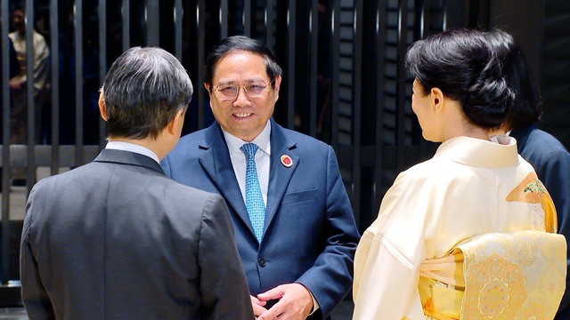 Thủ tướng hội kiến Nhà vua và Hoàng hậu Nhật Bản - Ảnh 2.