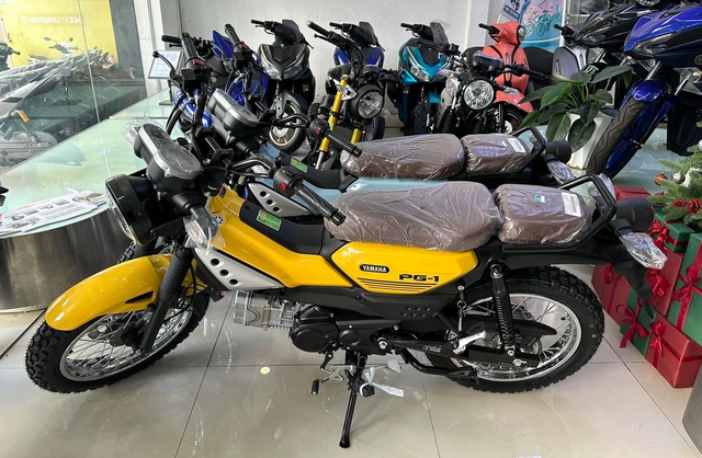 Yamaha PG-1 tại Việt Nam đội giá 2 - 5 triệu đồng - Ảnh 2.