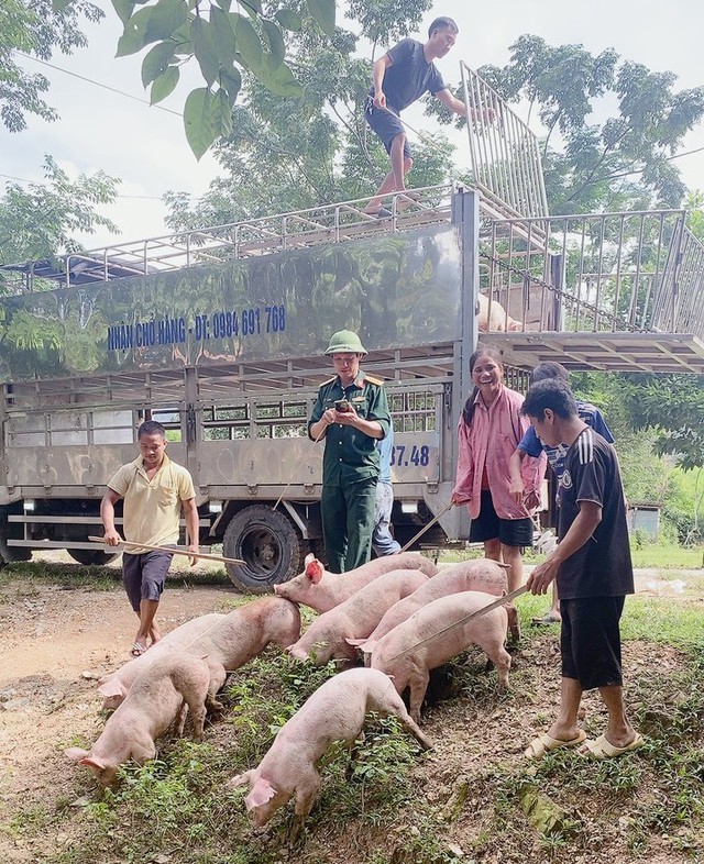 Hàng trăm con lợn, dê cấp cho hộ nghèo ở miền núi Quảng Bình lăn ra chết - Ảnh 3.