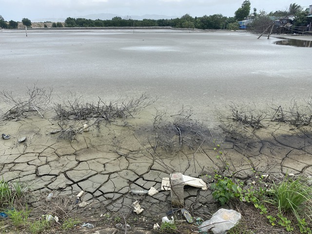 Tắc nghẽn dòng chảy vì bùn đất nạo vét cảng Quy Nhơn - Ảnh 1.