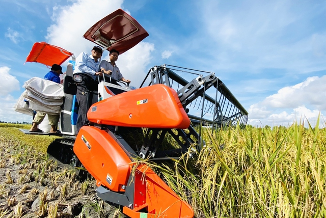 Đề án 1 triệu hecta lúa chất lượng cao sẽ nâng tầm hạt gạo Việt và làm lợi  cho nông dân, giúp giảm chi phí sản xuất, tăng thu nhậpẢnh: CÔNG HÂN