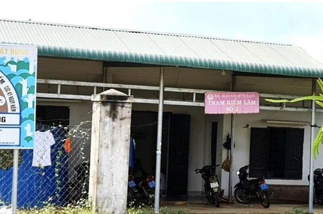 Đắk Lắk: Một cán bộ kiểm lâm tử vong bất thường trong rừng - Ảnh 1. Đắk Lắk: Một cán bộ kiểm lâm tử vong bất thường trong rừng - Ảnh 1.