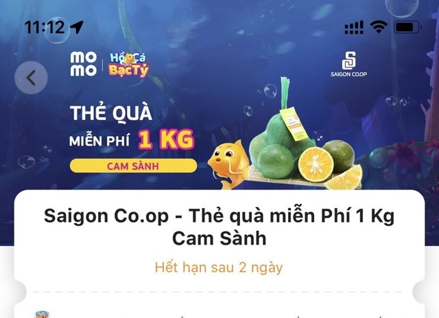 Saigon Co.op phối hợp cùng Momo bán 100 tấn cam sành cho nông dân Vĩnh Long - Ảnh 1.