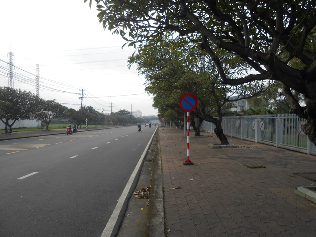 Hoa sứ khu công nghiệp- Ảnh 2. Hoa sứ khu công nghiệp- Ảnh 2.