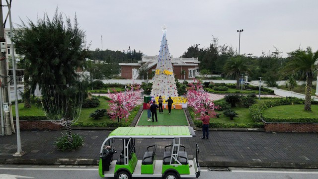 Cận cảnh cây thông Noel cao 8 m được làm từ 100.000 vỏ sò ở Hà Tĩnh- Ảnh 2.
