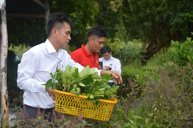 Chuyện tử tế: Lương y vận động trồng dược liệu chữa bệnh cho người nghèo- Ảnh 1.