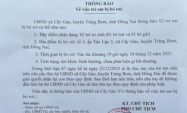 Đồng Nai: 'Mẹ đơn thân' bỏ rơi 2 trẻ sơ sinh- Ảnh 1.