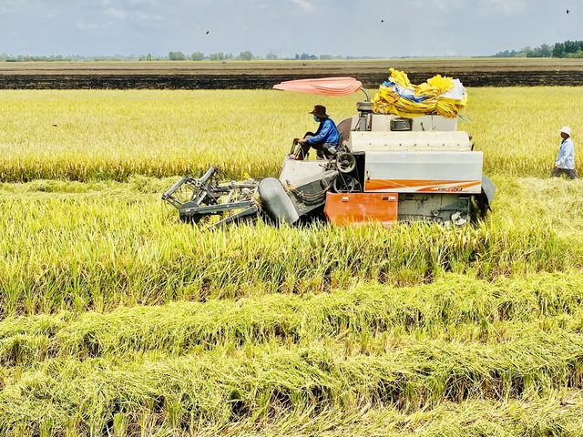 Các khách hàng lớn của Việt Nam ra sức trấn an về giá gạo nội địa- Ảnh 1.