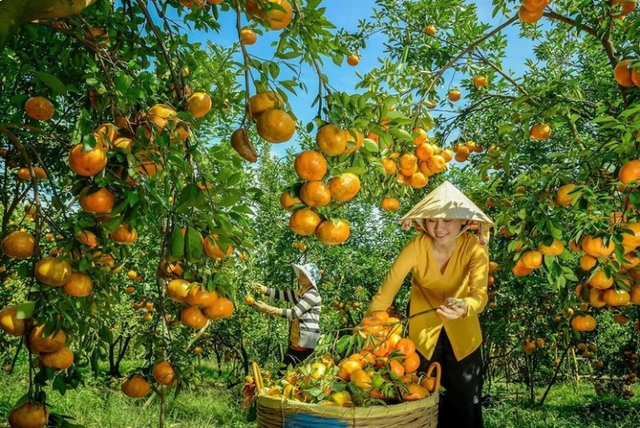 Vĩnh Long: Vùng đất trù phú, yên bình lại mến khách- Ảnh 1.