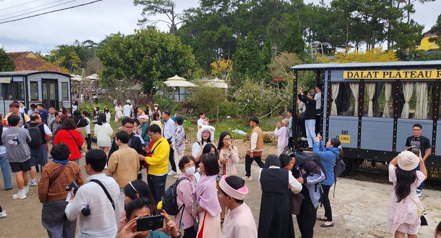 Kiểm tra hướng dẫn viên 'chui' Hàn Quốc thuyết minh sai lệch ở Đà Lạt- Ảnh 3. Kiểm tra hướng dẫn viên 'chui' Hàn Quốc thuyết minh sai lệch ở Đà Lạt- Ảnh 3.