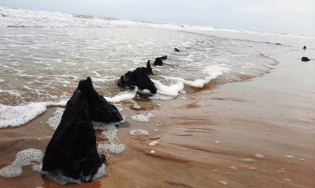 Khẩn trương khai quật 'tàu cổ' phát hiện tại bờ biển Hội An- Ảnh 2.