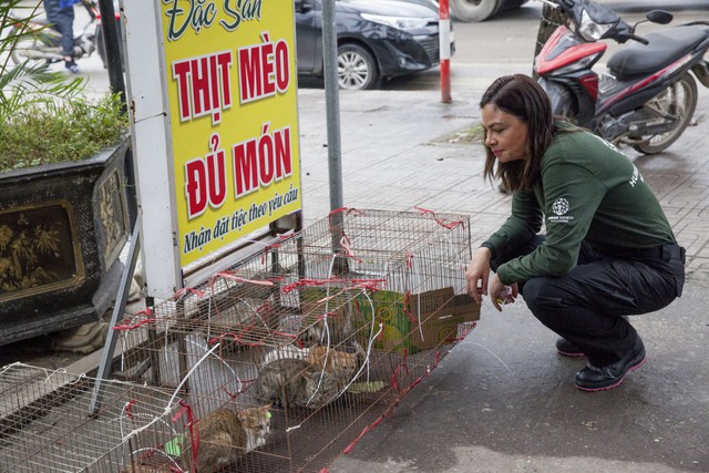 Quán bán thịt 300 con mèo mỗi tháng ở Việt Nam lên báo Mỹ- Ảnh 1.