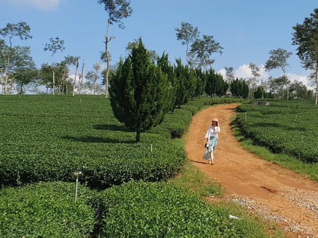 Những gợi ý chơi tết Dương lịch không đông đúc, giá hợp lý...- Ảnh 1.