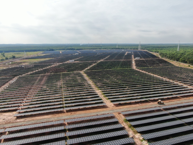 Bình Phước: Nhà máy điện mặt trời Lộc Ninh 3 xây dựng trên đất rừng sản xuất- Ảnh 2.