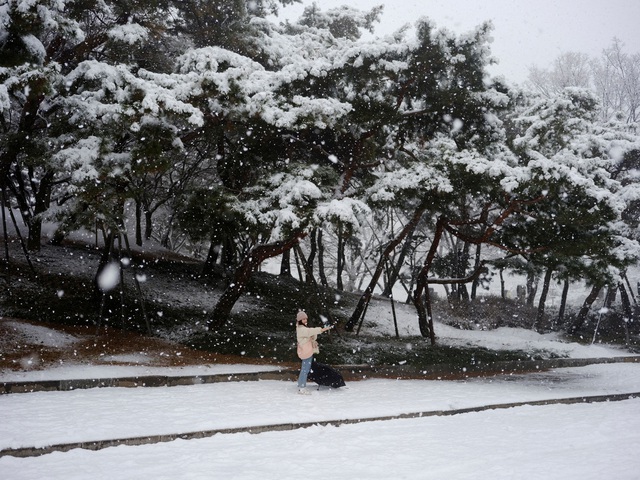 Tuyết rơi nhiều nhất trong hơn 40 năm ở Seoul- Ảnh 4.