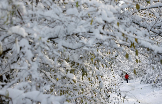 Tuyết rơi dày đầu mùa ảnh hưởng khắp châu Âu - Ảnh 7.
