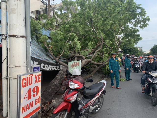 Cây xanh bật gốc ngã đè nhiều xe máy ở quán nước - Ảnh 1.