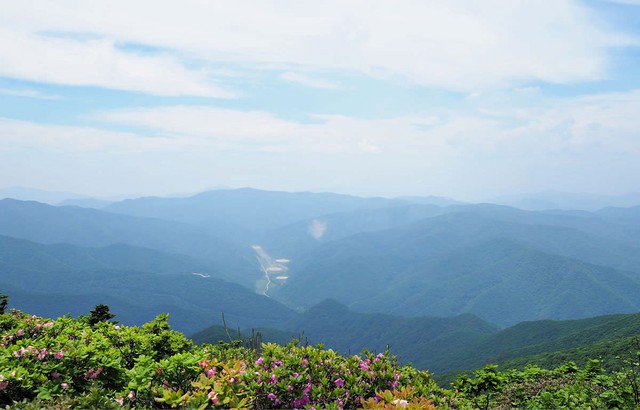 Những ngọn núi phơi sương đẹp như tranh vẽ ở Hàn Quốc  - Ảnh 5.