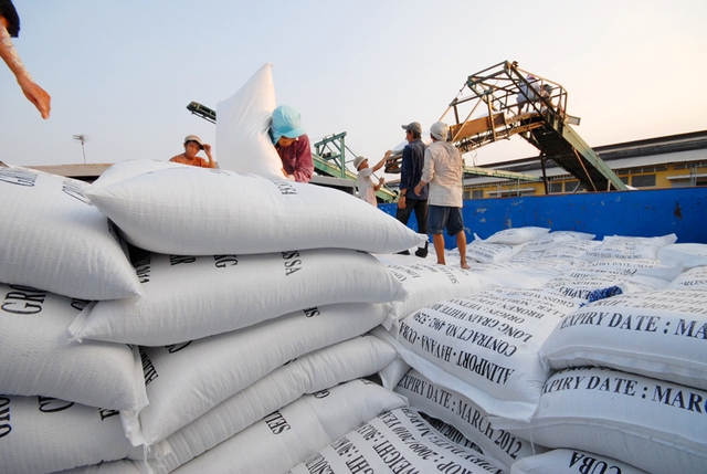 Giá gạo Việt 'vững ngôi' cao nhất thế giới- Ảnh 1.