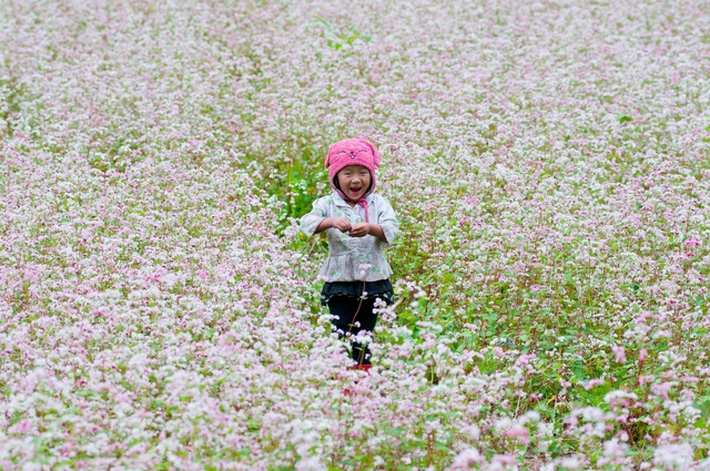 Đến Điện Biên tận hưởng vẻ đẹp nao lòng mùa hoa khoe sắc  - Ảnh 1.
