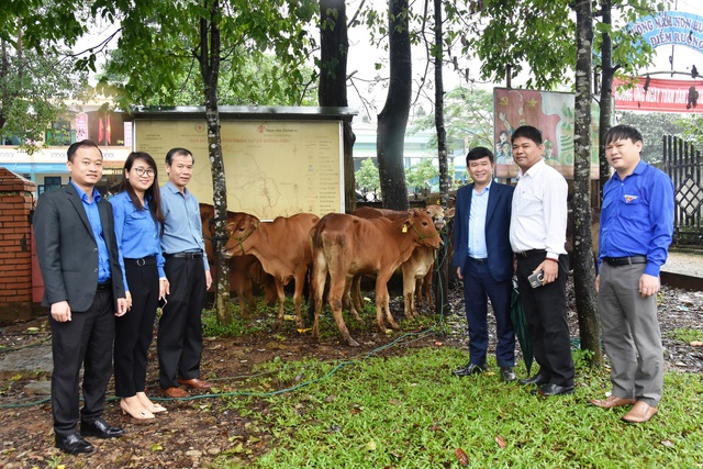 1,5 tỉ đồng mua bò giống, gà giống, cây con...tặng thanh niên miền núi Quảng Trị - Ảnh 2. 1,5 tỉ đồng mua bò giống, gà giống, cây con...tặng thanh niên miền núi Quảng Trị - Ảnh 2.