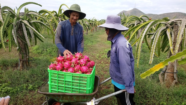 'Dự án lớn mà để năm mười năm không triển khai thì có ý nghĩa gì' - Ảnh 3.