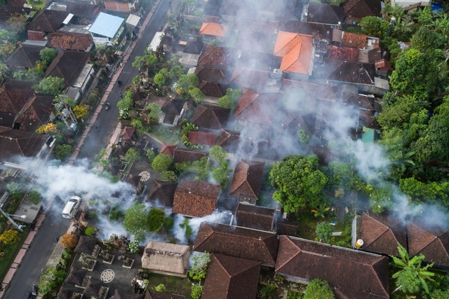 Tranh cãi quanh kế hoạch thả 200 triệu con muỗi để chống sốt xuất huyết ở Bali - Ảnh 1.