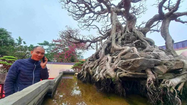 Nhiều hàng ‘khủng’ xuất hiện tại triển lãm sinh vật cảnh tỉnh Hải Dương - Ảnh 15. Nhiều hàng ‘khủng’ xuất hiện tại triển lãm sinh vật cảnh tỉnh Hải Dương - Ảnh 15.