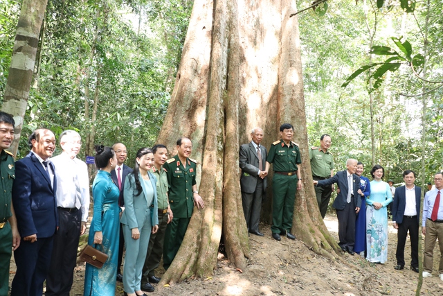 Bình Phước: Công nhận 162 cây di sản Việt Nam - Ảnh 5.