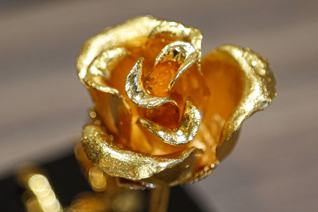 Hoa hồng mạ vàng 24K giá bạc triệu hút khách trước ngày Valentine - Ảnh 4.