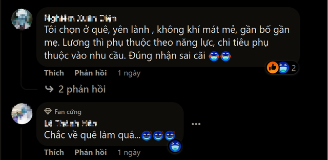 Lương tháng 10 triệu đồng ở thành phố không bằng lương 6 triệu ở quê? - Ảnh 4.